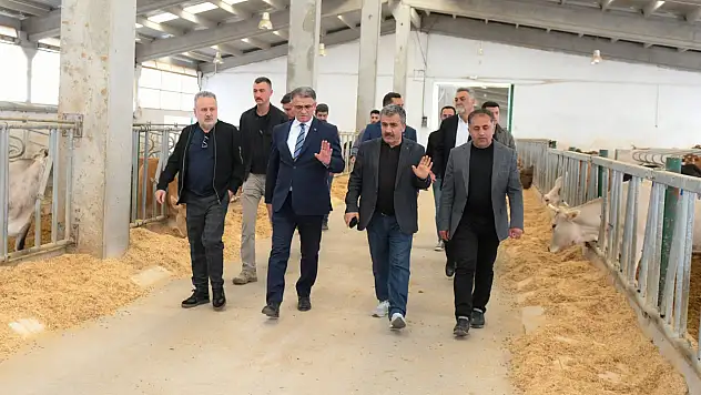 Vali Ozan Balcı, Düve Üretim Merkezi Alanında İncelemelerde Bulundu