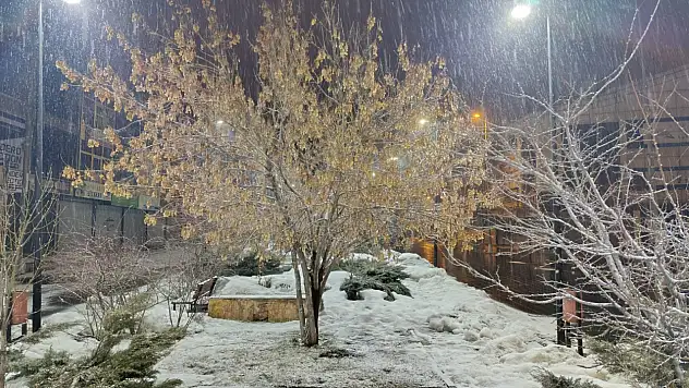 Valilik uyardı, kar ince ince yağdı: Ağrı'ya kış geri döndü