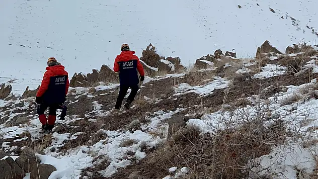 Van Başkale'de Dağlık Arazide Mahsur Kalan Köpek Kurtarıldı