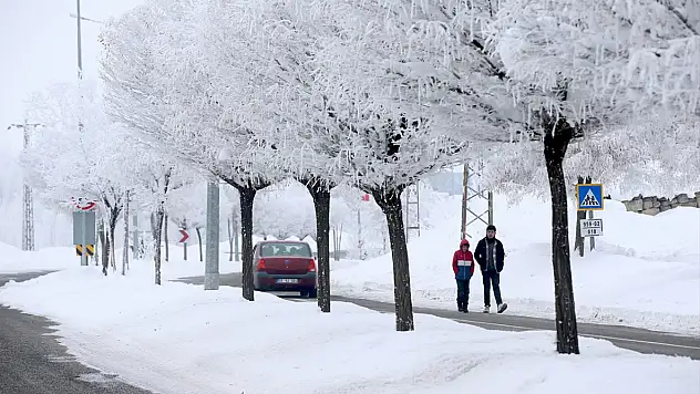 Van, Bitlis ve Hakkari'de ulaşım alarmı