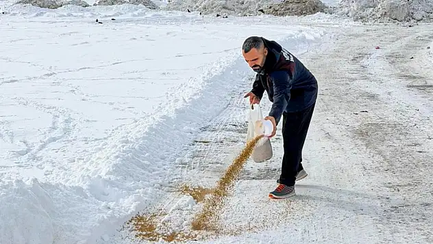 Van Büyükşehir Belediyesi'nden Yaban Hayatına Kış Desteği