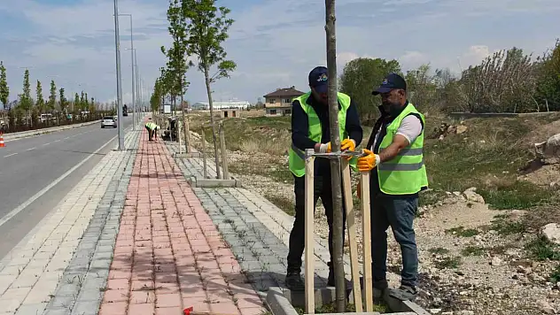 Van Büyükşehir Belediyesi, Sahil Yolunda Modernizasyon Çalışması Yapıyor