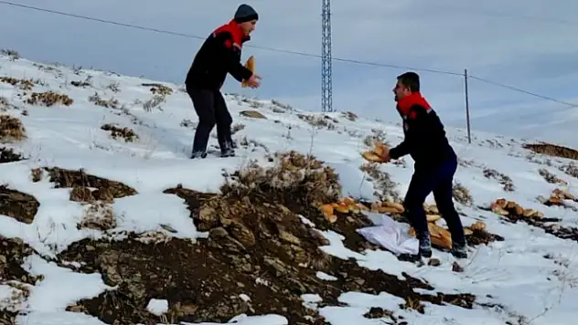 Van Çat'ta Yaban Hayatı İçin Doğaya Yem Bırakıldı