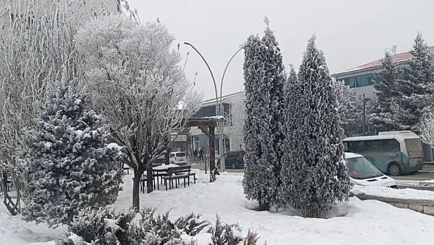 Van'da ağaçlar kırağıyla süslendi