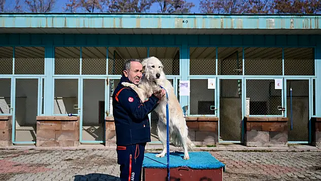 Van'da arama kurtarma kahramanı 'Poyraz' emekliliğini AFAD yerleşkesinde geçirecek