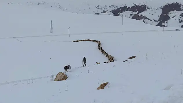 Van'da besiciler zorlu kış mesaisine devam ediyor