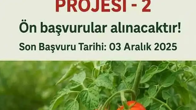 Van'da Domates Yetiştiriciliği Projesi Başvuruları Başladı, Son Tarih 3 Aralık 2025!