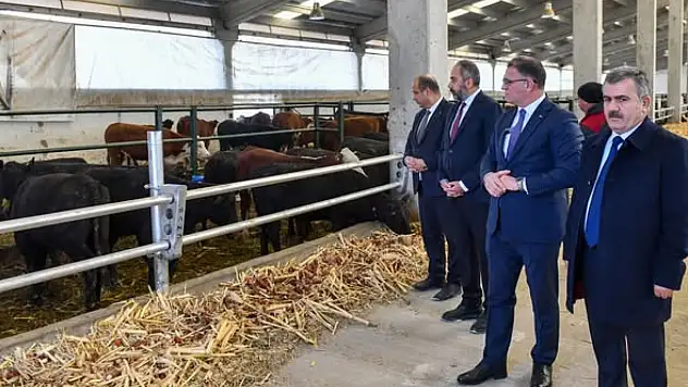 Van'da Düve Üretim Merkezi Bölge Hayvancılığına Güç Katacak