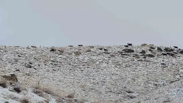 Van'da Erek Dağı karla kaplandı, kış manzarası göz kamaştırıyor!