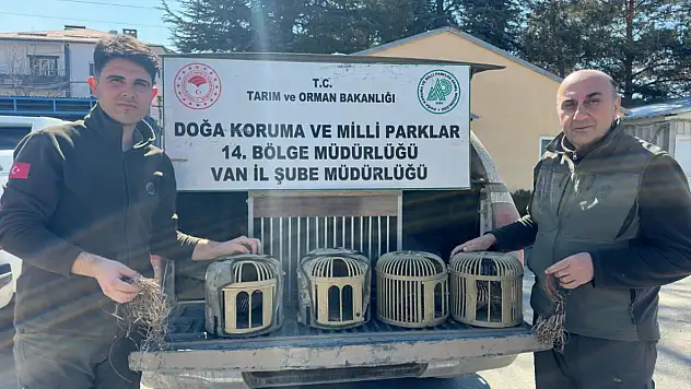 Van'da kaçak keklik avlayan 3 kişiye 93 bin lira ceza kesildi