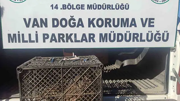 Van'da kafes avcısına 53 bin lira ceza kesildi!