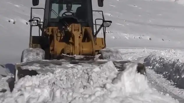 Van'da Karla Mücadele Çalışmaları Sürüyor