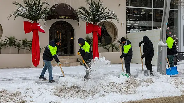 Van'da Karla Mücadele Çalışmaları Aralıksız Sürüyor