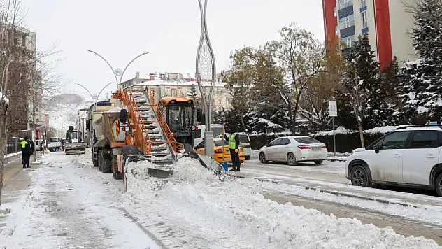 Van'da Karla Mücadele Çalışmaları Büyük Ölçüde Tamamlandı