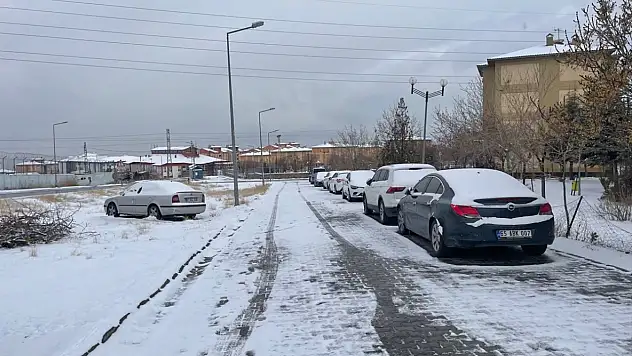 Van'da karla mücadele seferberliği