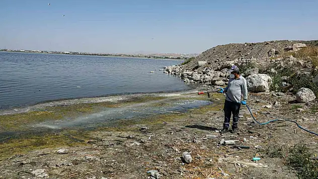 Van'da Kent Zararlılarıyla Mücadele İçin İlaçlama Faaliyetleri Başlatıldı