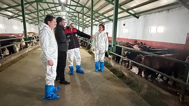 Van'da Kırsal Kalkınma Yatırımlarına Yerinde Denetim