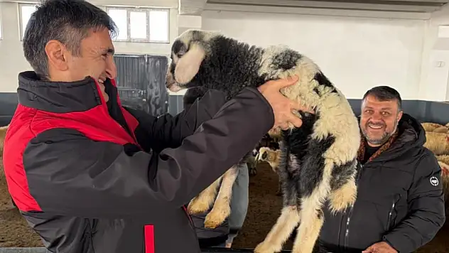 Van'da Kırsal Kalkınmaya Genç Yatırımcı Desteği Sürüyor