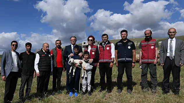 Van'da Koyunculuk Projesi Çiftçilerin Yüzünü Güldürüyor, Gençlerin Göçünü Engelliyor