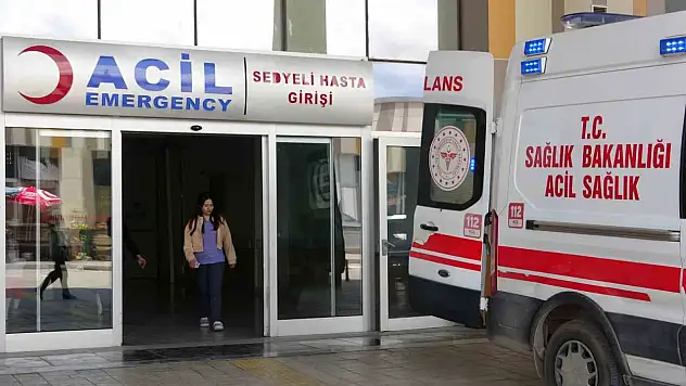 Van'da Kurban Bayramı'nda acemi kasaplar 144 kişiyi hastanelik etti