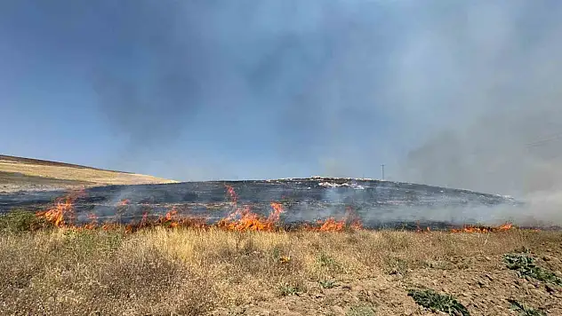 Van'da Kuru Ot Yangını: Yüzlerce Dönüm Arazi Yok Oldu