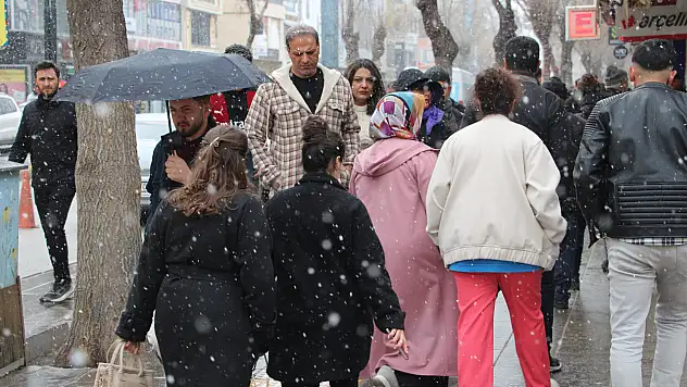 Van'da lapa lapa kar yağdı