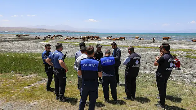 Van'da park ve yeşil alanlarda hayvancılıkla mücadele için denetimler artırıldı