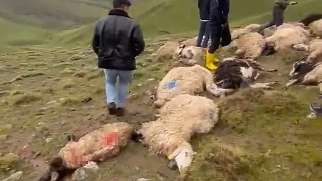 Van'da peş peşe yıldırım felaketi