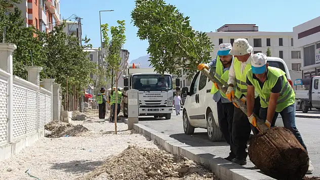 Van'da Peyzaj Çalışmalarıyla Kent Yeşil Bir Görünüme Kavuşuyor
