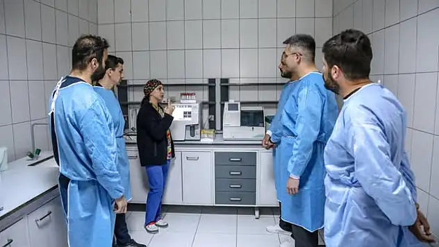 Van'da Protokol ile Veterinerlik Öğrencilerine Uygulamalı Eğitim Fırsatı!