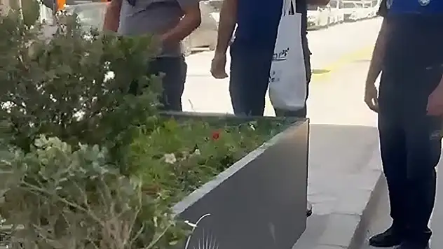 Van'da Refüj Üzerindeki Çiçeklere Zarar Veren Şahıs Suçüstü Yakalandı