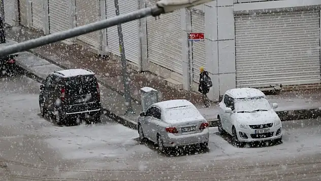 Van'da sabah kar yağışı, kent merkeziyi beyaz örtüyle kapladı!