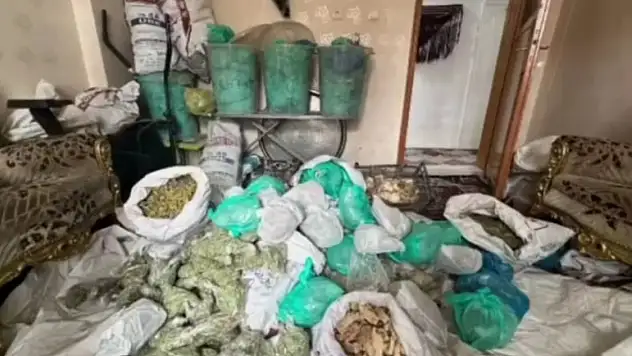 Van'da sahte sağlık belgesi skandalında 2 şüpheliye operasyon düzenlendi