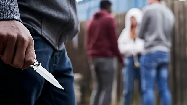 Van'da silahlı çatışma 1 kişi yaralandı