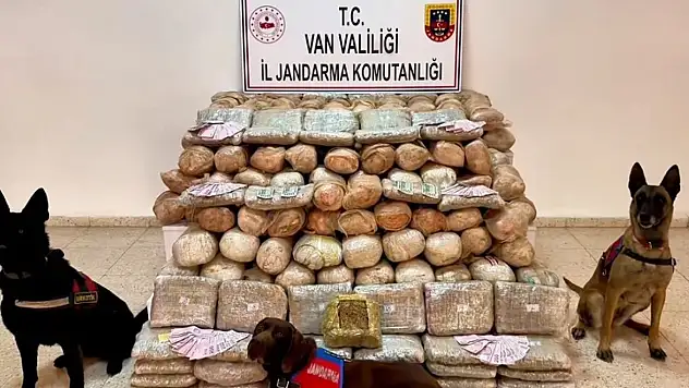 Van'da uyuşturucu operasyonu: 333 kilo skunk ele geçirildi