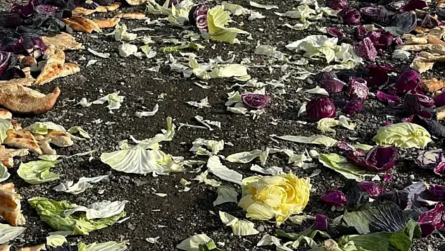 Van'da yaban hayvanları için doğaya yiyecek bırakıldı