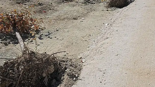 Van'da Yeni Dikilen Fidanlara Zarar Verilmesi Tepki Çekti
