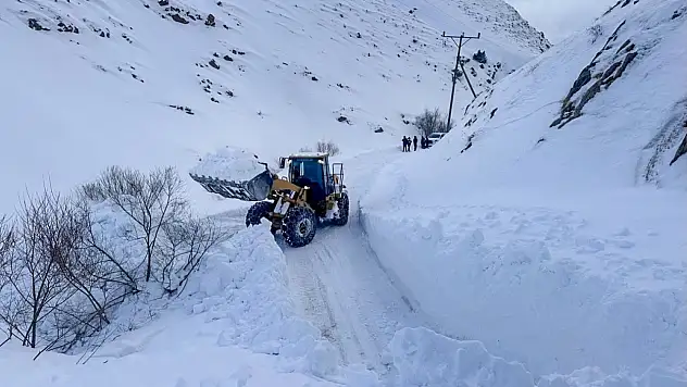 Van'da Zorlu Kış Şartlarına Rağmen Hayat Kurtaran Müdahale