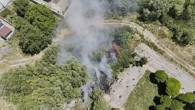Van Gölü Kıyısında Sazlık Alanında Çıkan Yangın, Adilcevaz'da Paniğe Neden Oldu