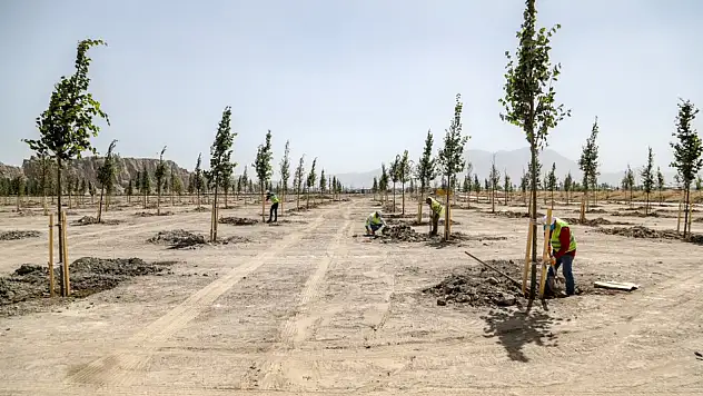 Van Gölü Kıyısında Yeni Ihlamur Parkı ile Yaşam Kalitesi Artacak