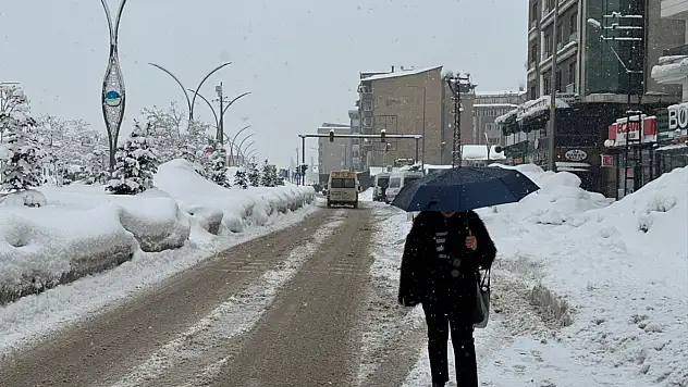 Van, Hakkari, Muş ve Bitlis'te karla mücadele devam ediyor