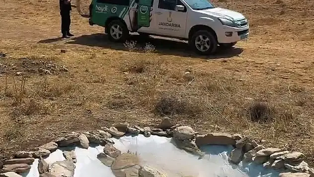 Van Jandarma, Yaban Hayvanları İçin Su Havuzları Kurdu