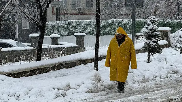 Van ve Bitlis'te kar yağışı etkili oldu
