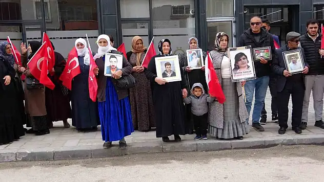 Vanlı annelerin evlat nöbeti 100'üncü haftasında
