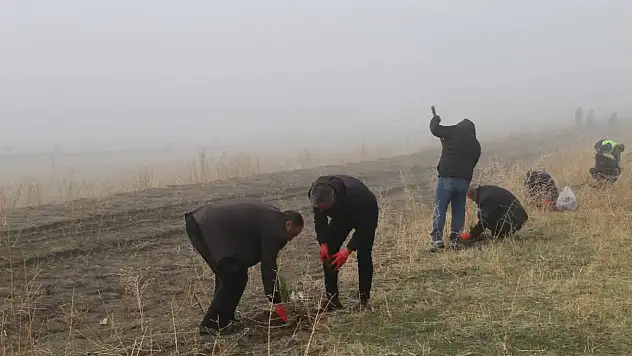 Varto'da 500 Fidan Toprakla Buluştu