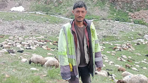 Yaylada kanlı hesaplaşma: Çobanlar arasındaki kavga ölümle bitti