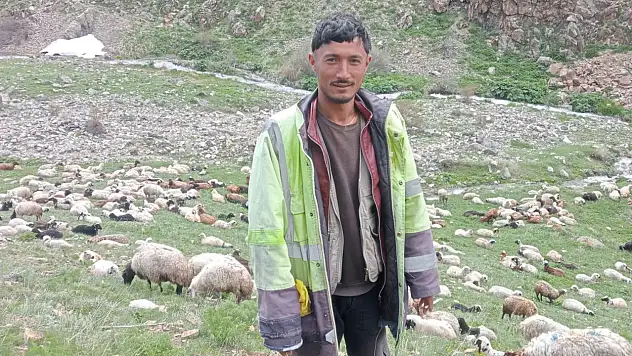 Yayladaki cinayetin zanlısı kaçamadı: Jandarma kontrol noktasında yakalandı