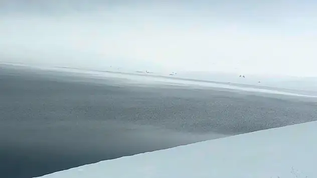 Yazıcı Barajı çevresi tamamen kar altında kaldı