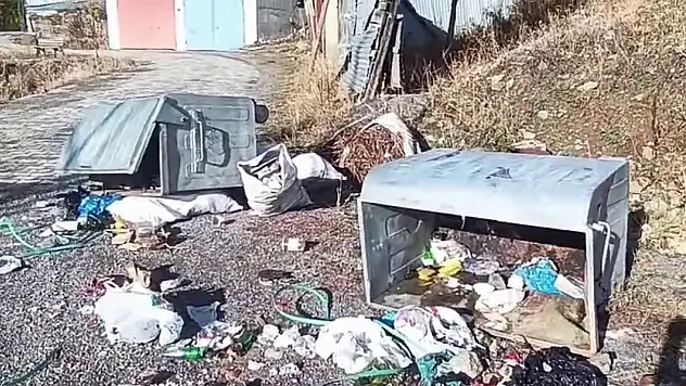 Yedigöl'de Boz Ayılar Köylüleri Tedirgin Ediyor, Zararları Binlerce Lirayı Buldu
