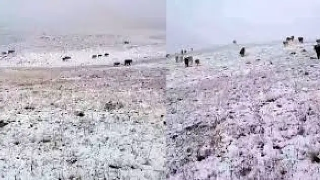 Yedigöller'e mevsimin ilk karı yağdı, çobanlar kar sürpriziyle karşılaştı